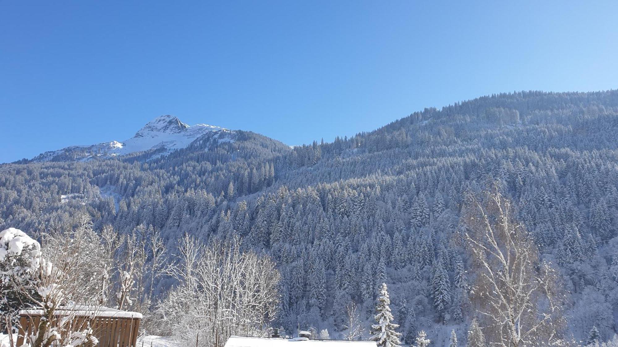 Apartment Sonnenbuechel Wald am Arlberg Eksteriør bilde